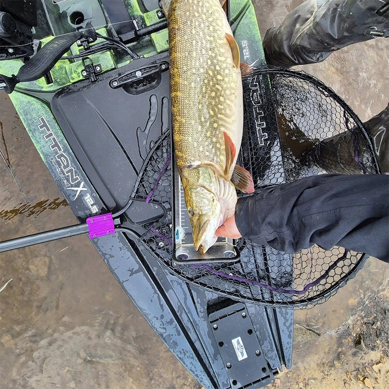 Wychwood Agitator Predator HD Nets